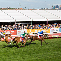 2017 Cox Plate - Legends Lane